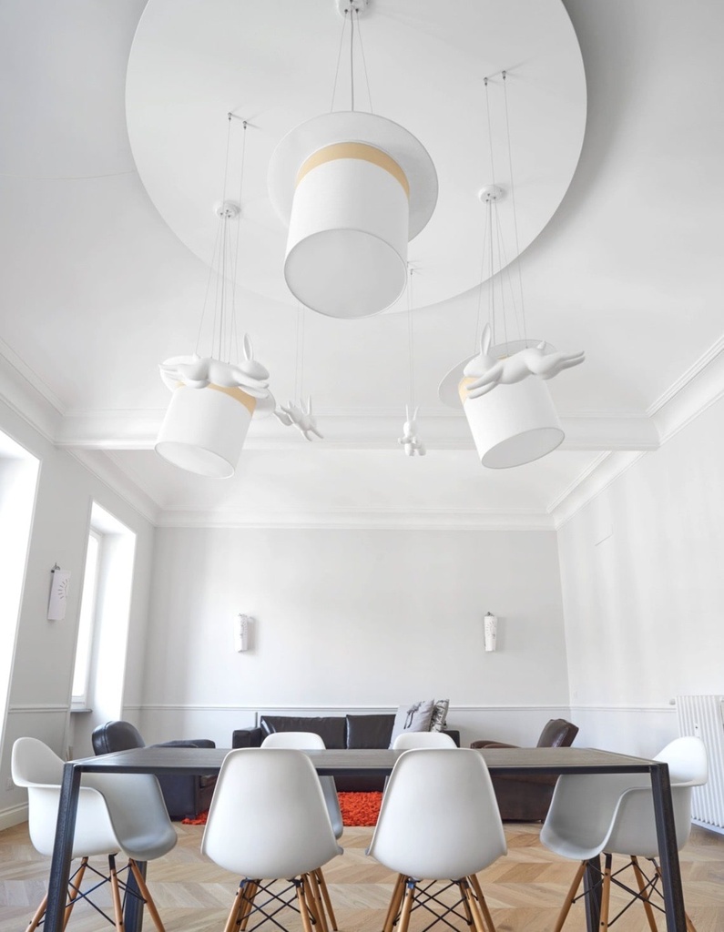 WOW pendant light with Silvan in meeting room