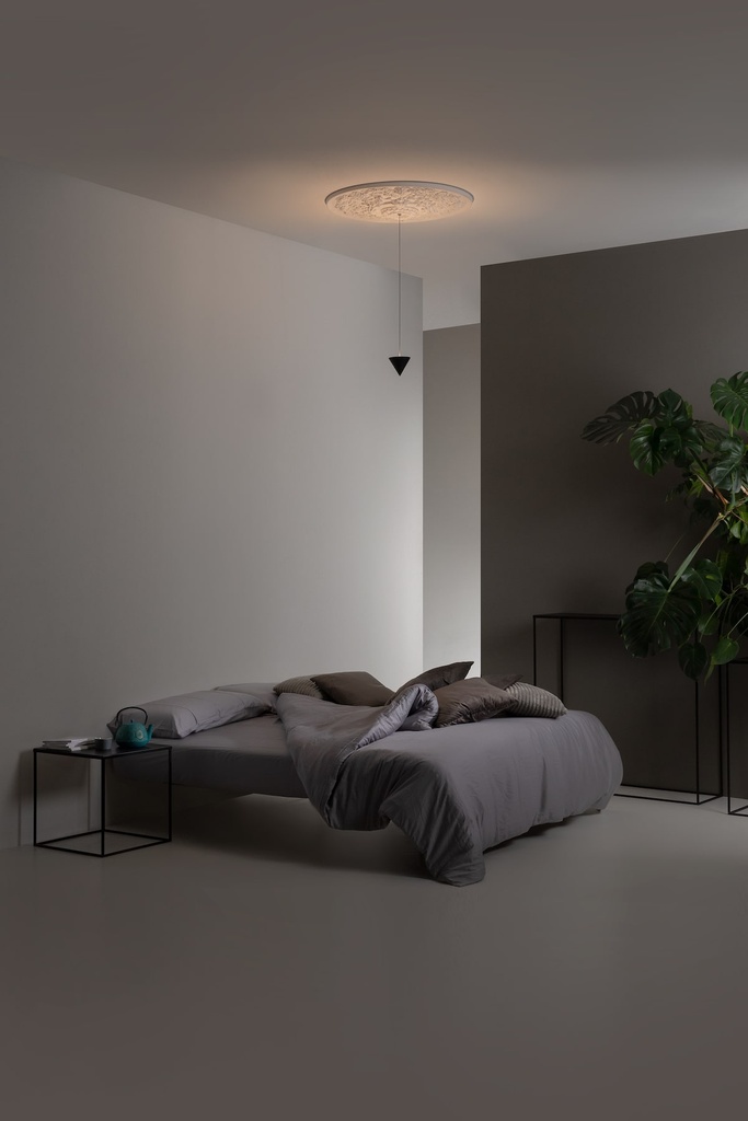 Curarto Moonbloom Ceiling Light